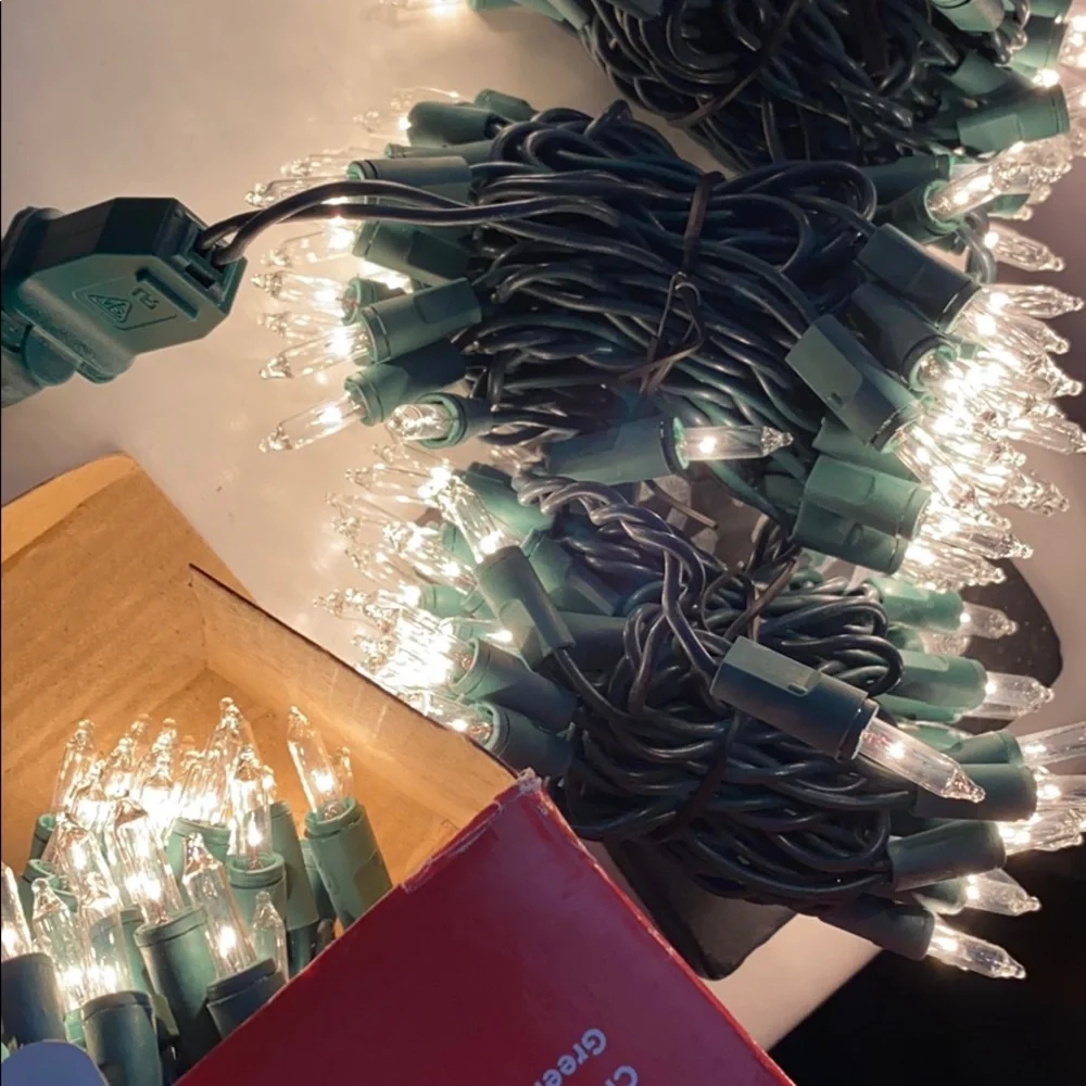 String Lights Indoor/Outdoor - White